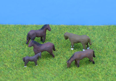 PDC50 PD Marsh Horses (5)
