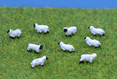 PDC56 PD Marsh Sheep (20)