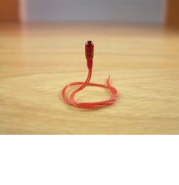 12volt 50ma Small Grain of Wheat Bulbs