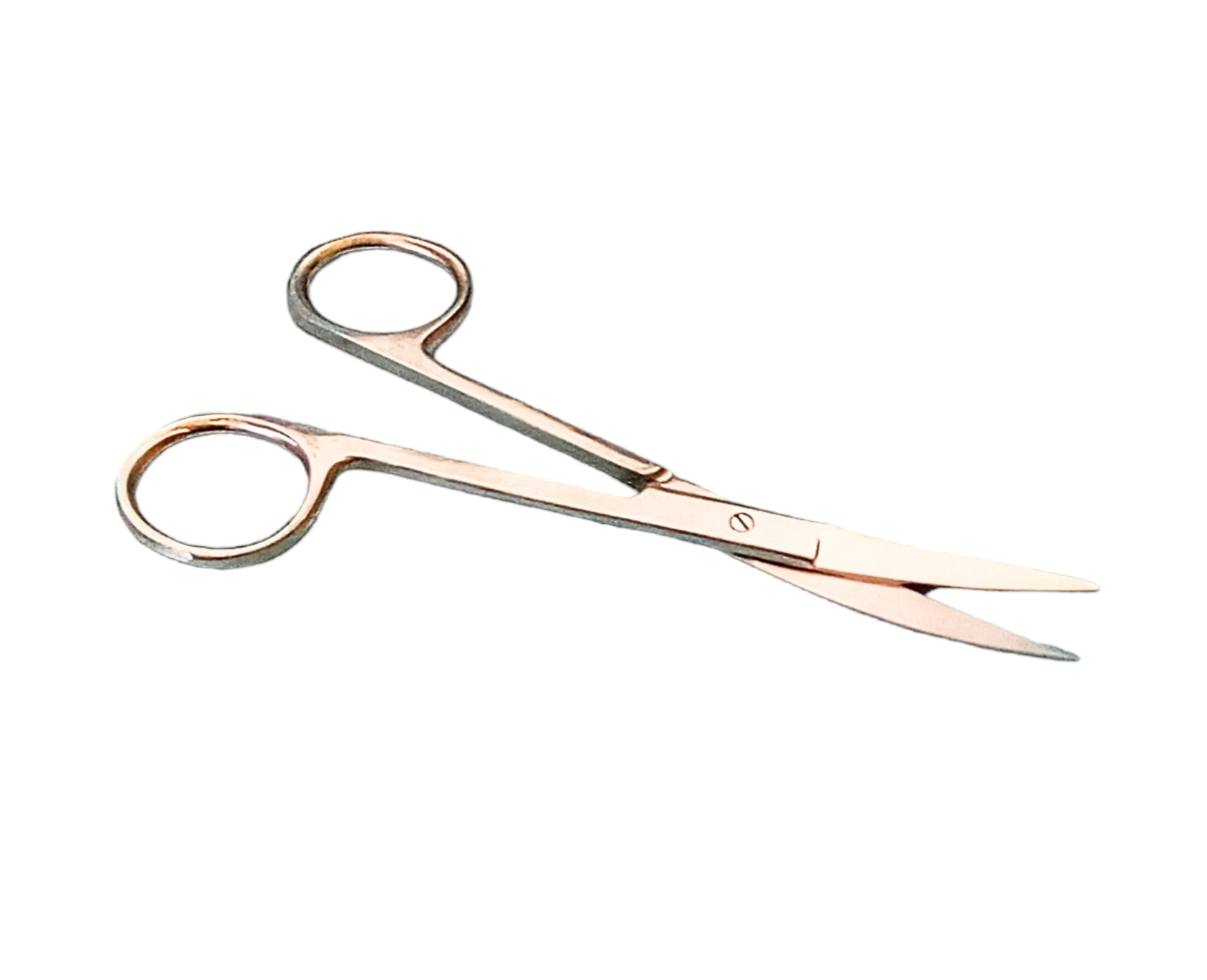 76520 Curved Stainless Steel Scissors