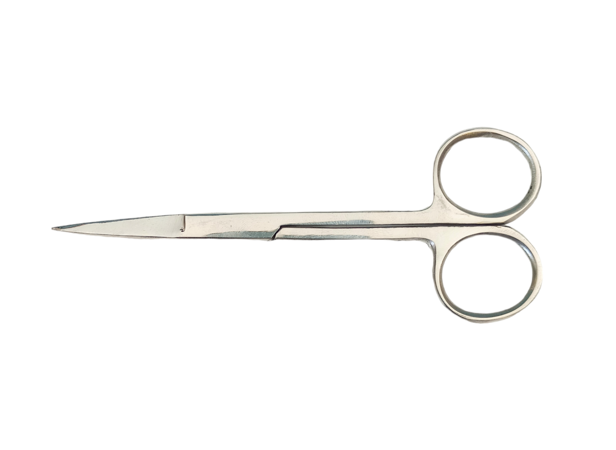 76521 Straight Stainless Steel Scissors