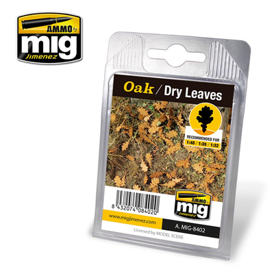 MIG8402 OAK DRY LEAVES