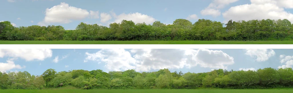 N147A 9 INCH N GAUGE TREES 9